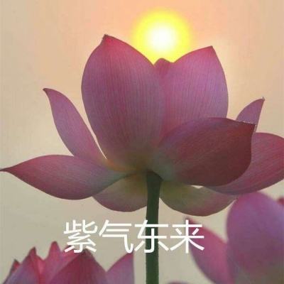 斗战封神破解版下载